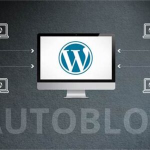 wordpress auto blog